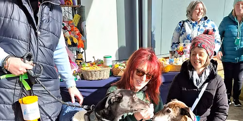 Raising awareness of greyhounds as pets