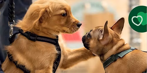 Valpetreff hos Musti Askim