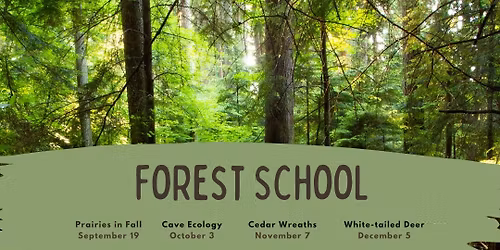 Forest School Series