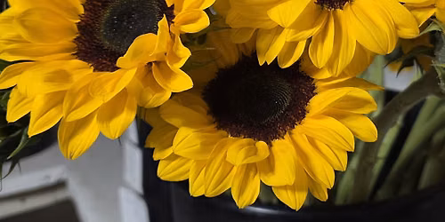 \u201cSummer Bloom Workshop \u2014 Create a full summer arrangement using sunflowers and other summer blooms!