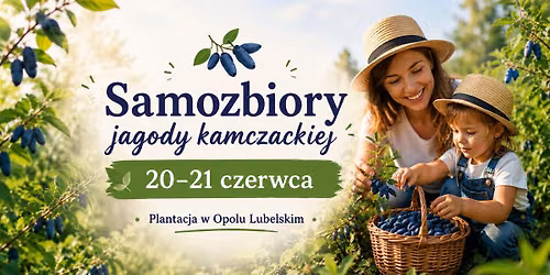Weekend samozbior\u00f3w jagody kamczackiej w Opolu Lubelskim
