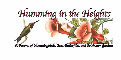 Humming in the Heights