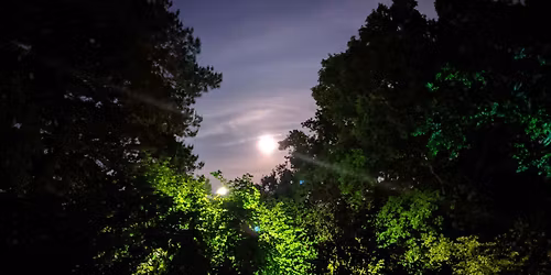 Copy of Gentle Yoga & Sound Bath, Eastleigh. Settle In, Slow Down, Soften.