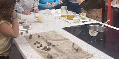 Wildcrafting with Beeswax: Mullein Torches + Acorn Cap Balms || with Dr. Crystal Jewell