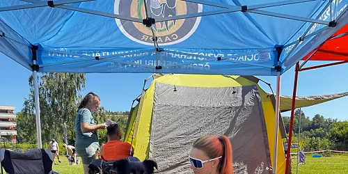 WORKSHOP \ud83d\udc3eDOGFITNESS & REGENERACE \ud83d\udc3e LEVEL I.