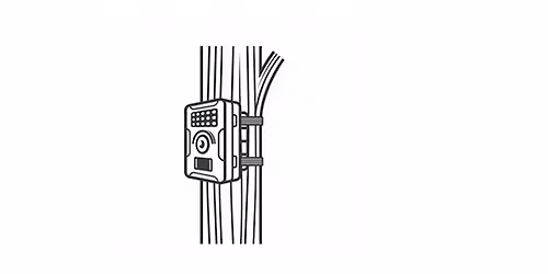 Camera trap collection and processing