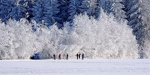 Winter Nervous System Reset