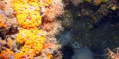 West Palm \/ Jupiter