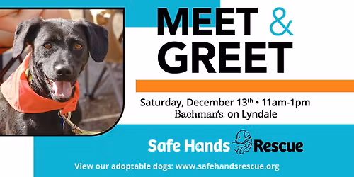 Safe Hands Rescue Meet & Greet at Bachman's (Lyndale)