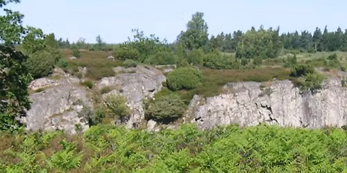 Vandreyoga i Paradisbakkerne