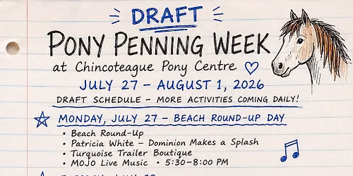 Pony Centre \u2014 Pony Penning Week Round-Up