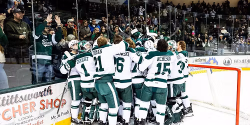 Bemidji State Beavers at St. Thomas Tommies Womens Hockey