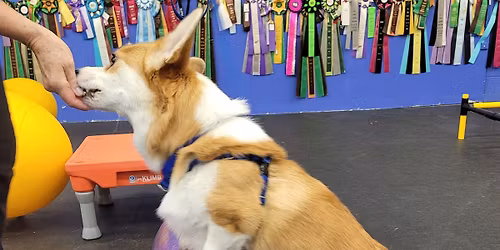 Open Gym (For FITNESS 1 & 2 Graduates)