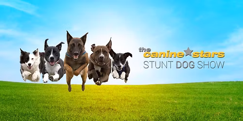 The Canine Stars Stunt Dog Show