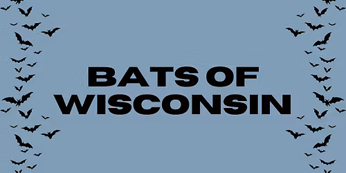 Bats of Wisconsin