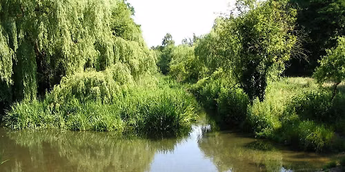 Guided Walk: Introduction to Cassiobury Park