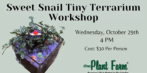 Sweet Snail Tiny Terrarium- Wednesday, October 29th @ 4PM