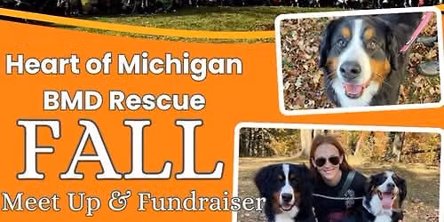 7th Annual Heart of Michigan Bernese Mountain Dog Rescue Fall Gathering