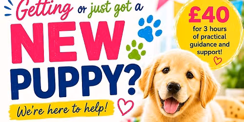 Puppy Basics Workshop