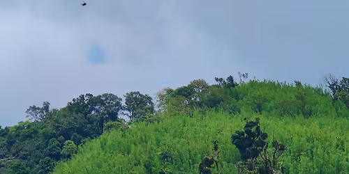 \u09ae\u09be\u09a4\u09be\u09ae\u09c1\u09b9\u09c1\u09b0\u09bf \u09b0\u09bf\u099c\u09be\u09b0\u09cd\u09ad \u09ab\u09b0\u09c7\u09b8\u09cd\u099f \u0985\u09ad\u09bf\u09af\u09be\u09a8\u09c7 \u09ac\u09c7\u0999\u09cd\u0997\u09b2 \u099f\u09cd\u09b0\u09c7\u0995\u09be\u09b0\u09cd\u09b8\u09cd (\u09e8)