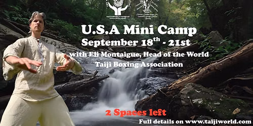 WTBA USA 3 day mini camp