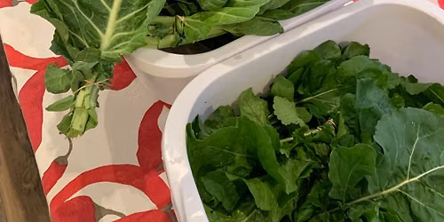 Roberts Creek Wednesday Market