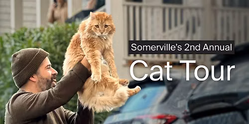 Somerville Cat Tour