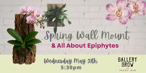 Rooted in Air: The Art of Mounted Epiphytes (May)