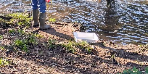 Riverfly Monitoring & Litter Pick