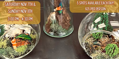 Bug Pinning & Display Class - November 2026