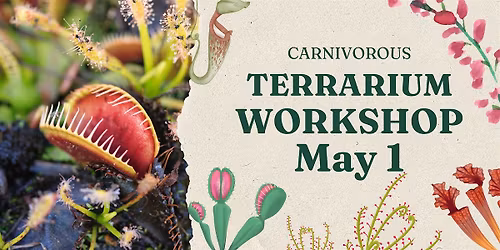 Carnivorous Terrarium Workshop