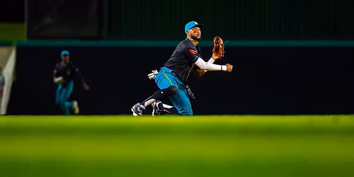 Tri-City Valley Cats at Mississippi Mud Monsters at Trustmark Park