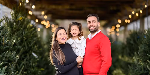 Christmas Tree Minis \ud83c\udf32