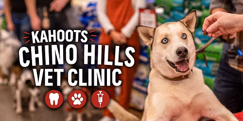 Low Stress Vet Clinic & Teeth Cleaning