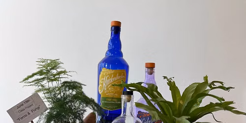 Cocktails, Clay & Kokedama - \u201cferns & Fungi\u201d