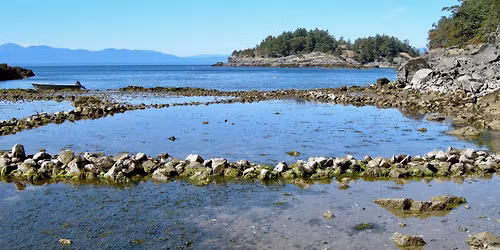 Archaeology of the Island in the Middle of Everywhere