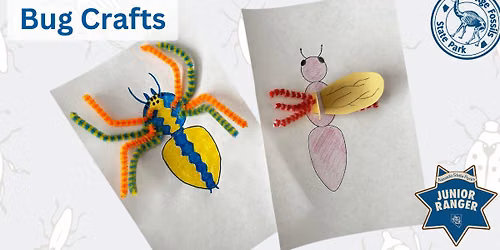 Bug Crafts