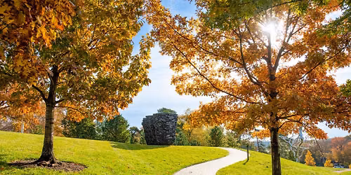 44th Annual Atha Lecture: Art, Nature, and Well-Being in Museums Today