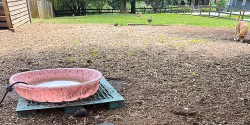 July Workday 
