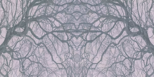 Vernissage Susanne Fagerlund - Rhizomorphs & Chimeras