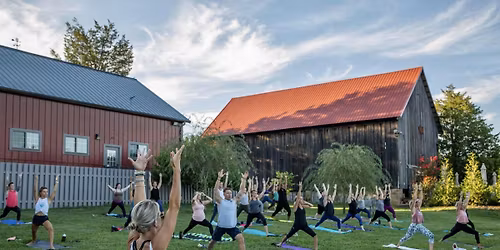 Vino & Vinyasa with Lindsay Cook at Great Frogs Winery
