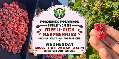 U-Pick Raspberries for Food Bank + Volunteers (YOU!)