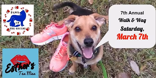 7th Annual Walk & Wag Fun 5k