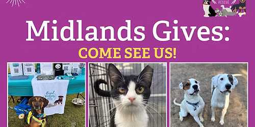 Midlands Gives