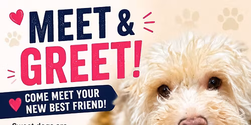Meet and Greet