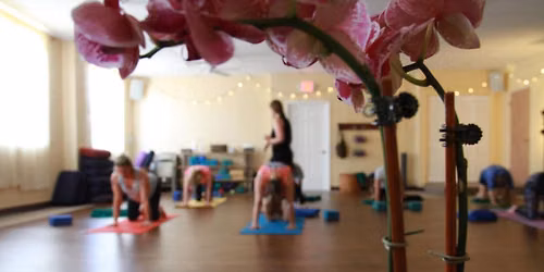 Trauma-Conscious Yoga Advanced Teacher Training With Suzanne Alexandre