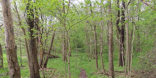 Celebrate Warbler Ridge Trails Day!