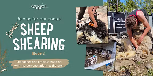 Sheep Shearing Weekend