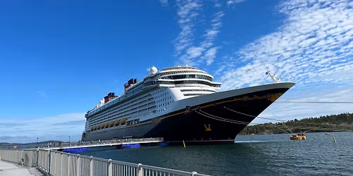 Disney Wonder Cruise from Sydney to Honolulu!