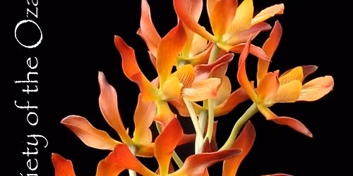 Orchid Society of the Ozarks 15th Annual Show & Sale